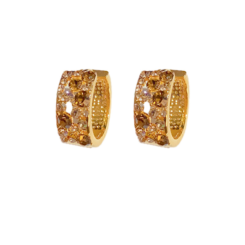 18K Gold-plated Exquisite Diamond-Encrusted Hoop Earrings