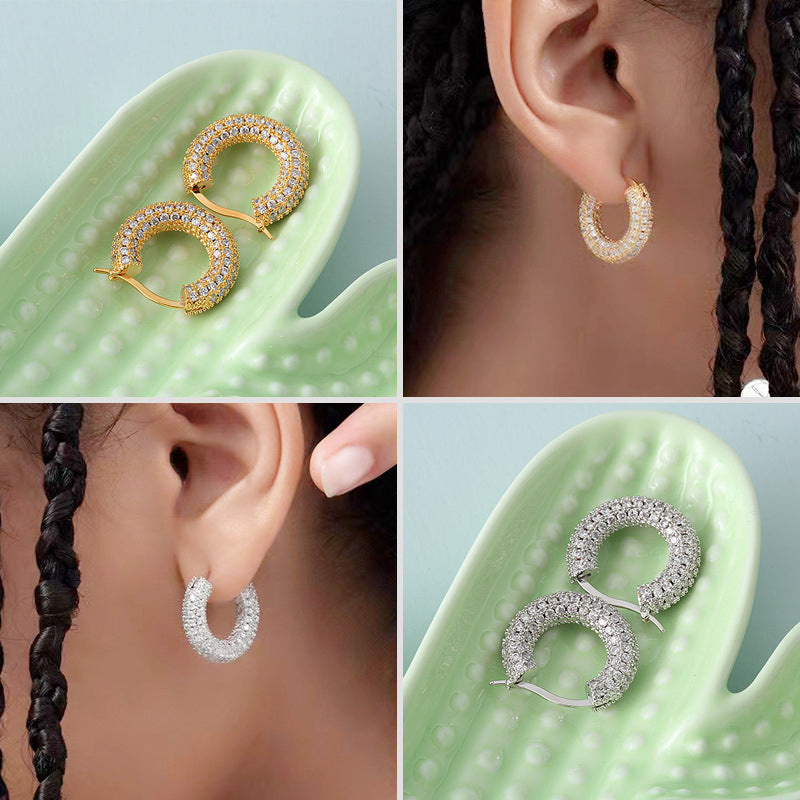 Sparkling Hoop Fashion Earrings