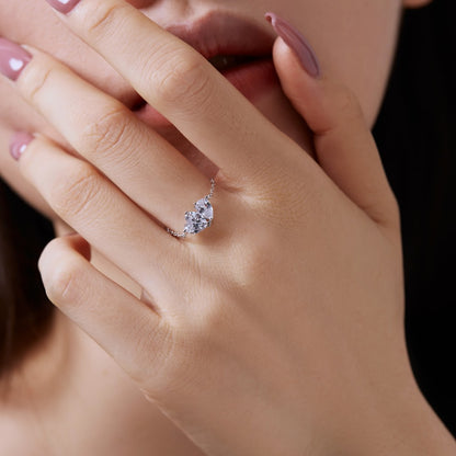 Adjustable Chain Ring