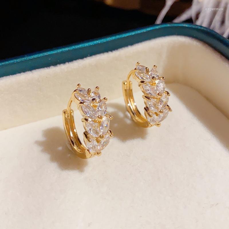 16K Gold Plated Wheat Hoop Earrings With Shiny Zircon