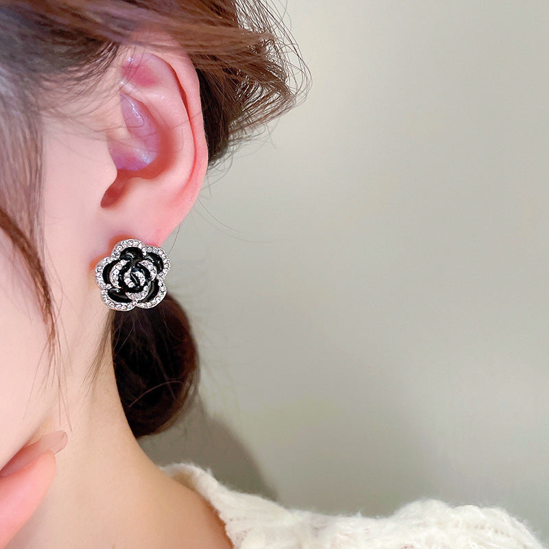 Midnight Rose Collection