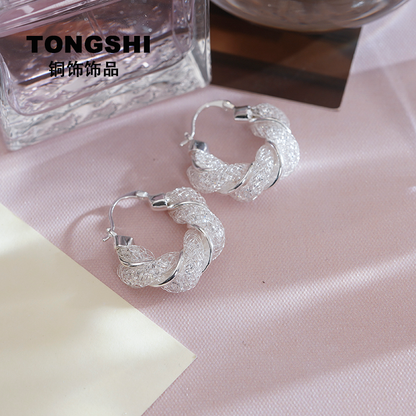 Fashion Premium Silver Mesh Temperament Earrings