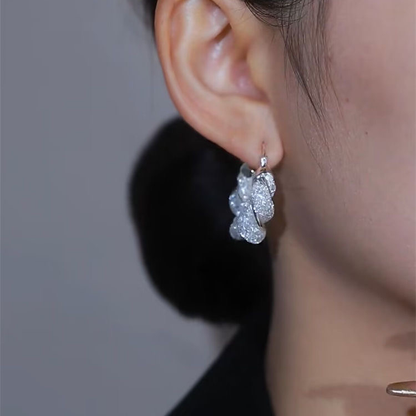 Fashion Premium Silver Mesh Temperament Earrings