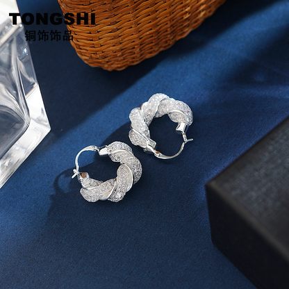 Fashion Premium Silver Mesh Temperament Earrings
