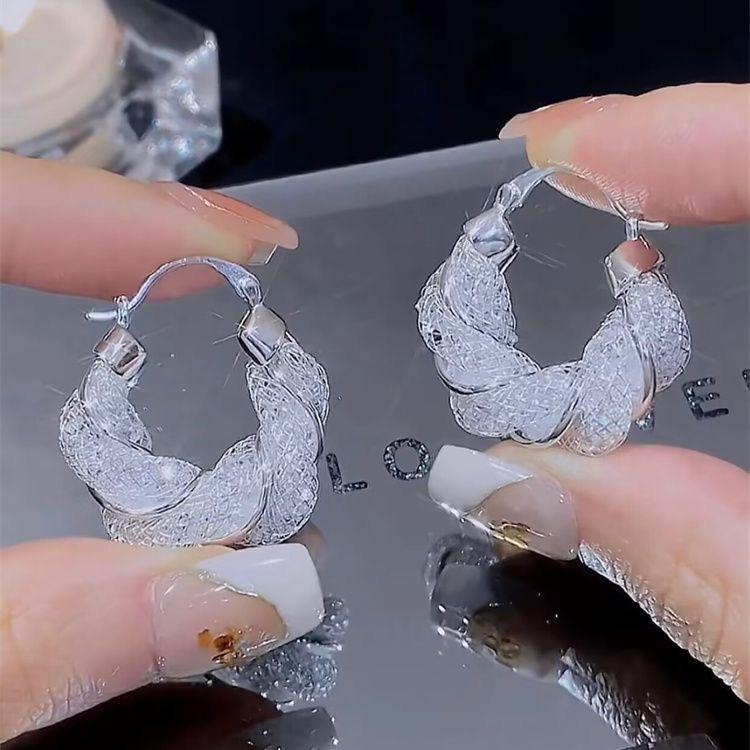 Fashion Premium Silver Mesh Temperament Earrings