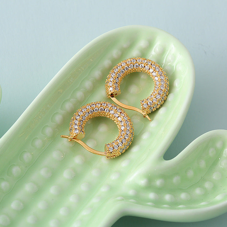 Sparkling Hoop Fashion Earrings