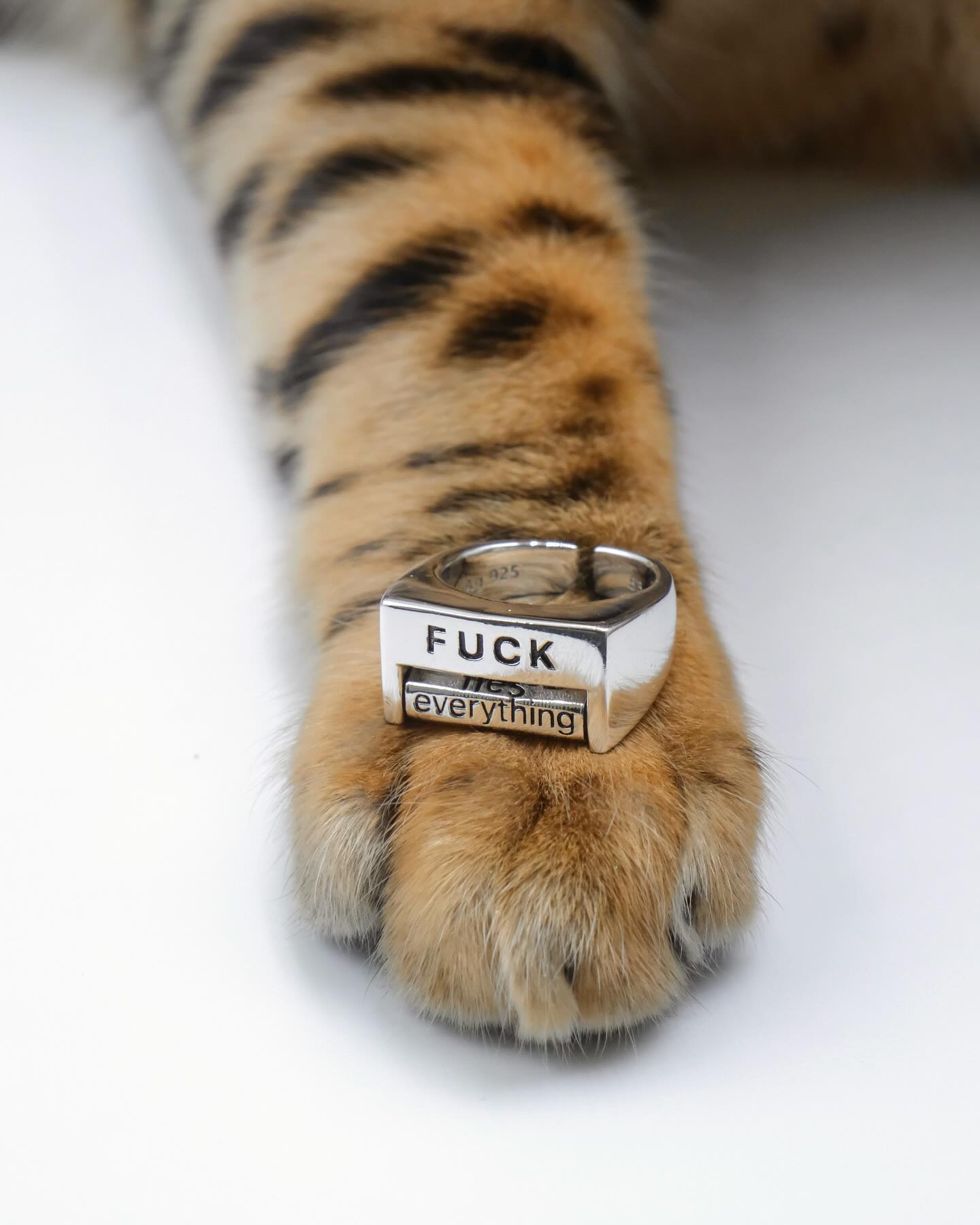 Fuck The World Ring