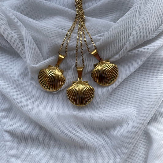 Seashell locket
