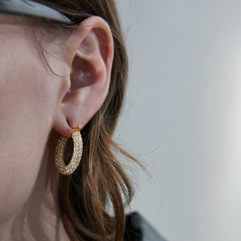 Sparkling Hoop Fashion Earrings