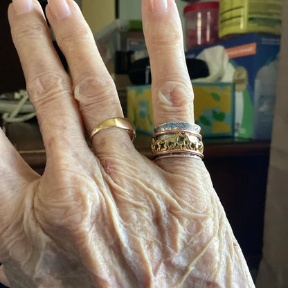 Horse Spinner Ring