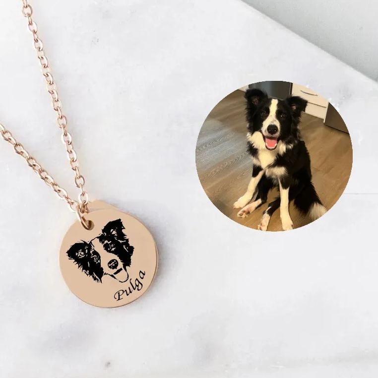 Until We Meet Again - Personalized Pet Memorial Photo Pendant Necklace